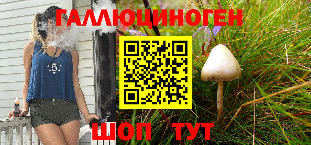 Галлюциногенные грибы мухоморы  Вход с VPN  Галлюциногенные грибы Psilocybe  Волгодонск 