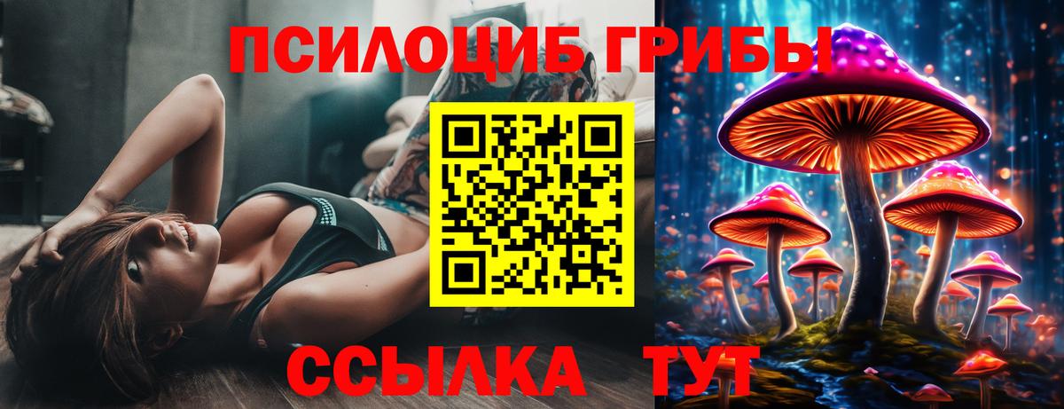 Псилоцибиновые грибы GOLDEN TEACHER Волгодонск