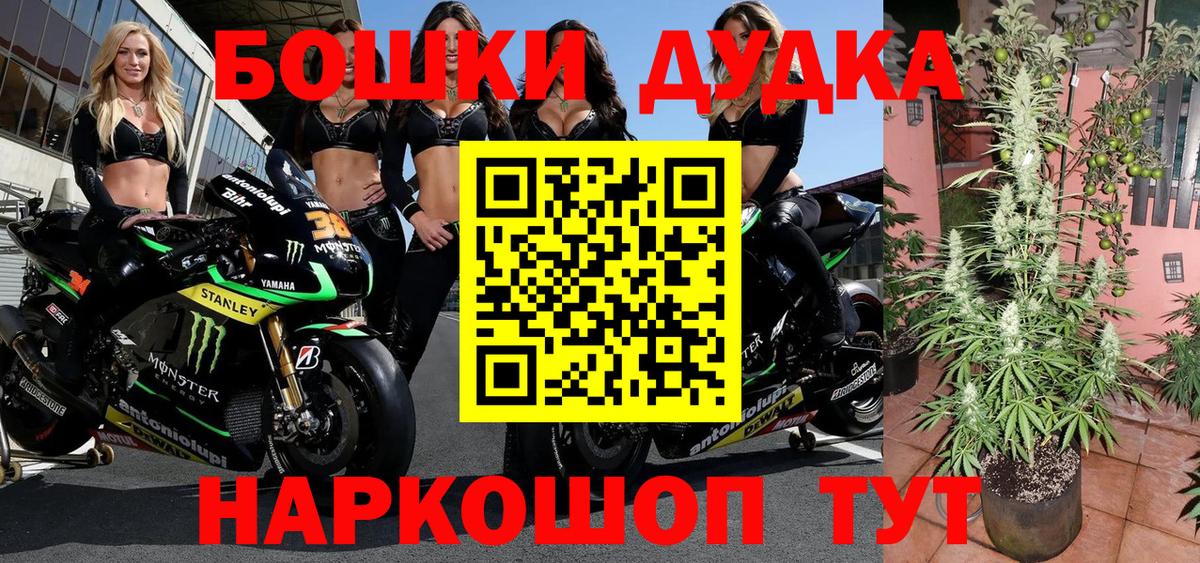 Конопля White Widow  Бошки Шишки SATIVA & INDICA  Волгодонск  Вход с VPN 